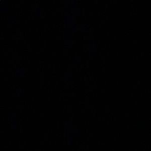 Meet your Posher, Whitney